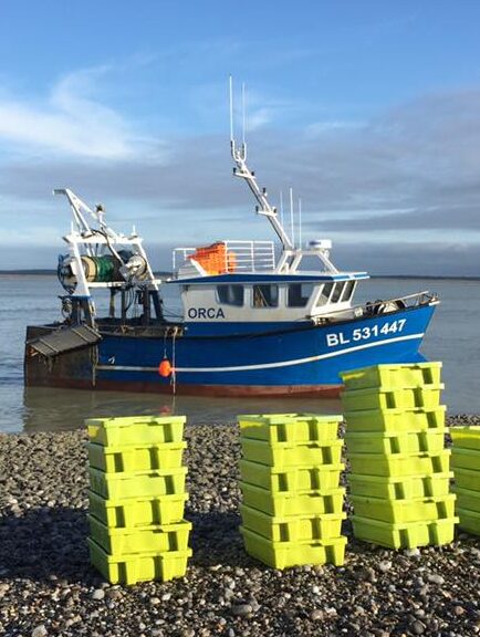 Salicoque Maree (@salicoque) - Crevettes grises, Saint-Jacques de Normandie, Bulots