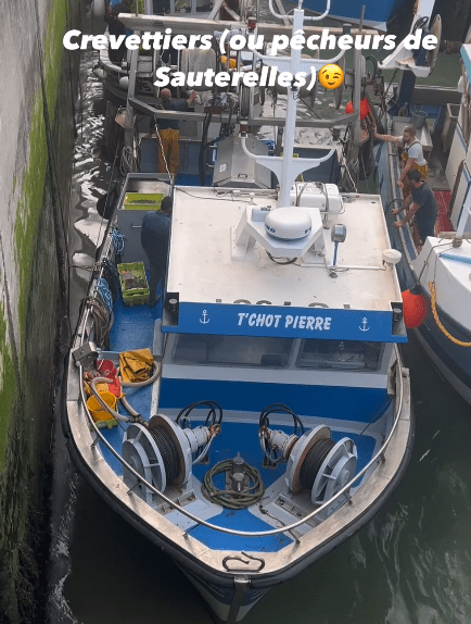 Salicoque Maree (@salicoque) - Crevettes grises, Saint-Jacques de Normandie, Bulots