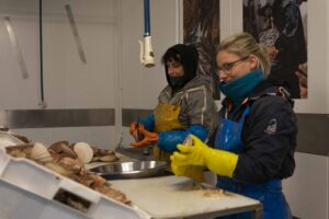 Salicoque Maree (@salicoque) - Crevettes grises, Saint-Jacques de Normandie, Bulots