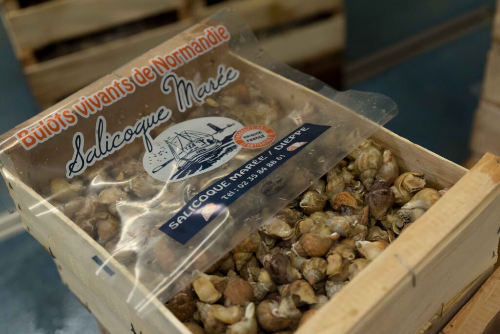 Salicoque Maree (@salicoque) - Crevettes grises, Saint-Jacques de Normandie, Bulots